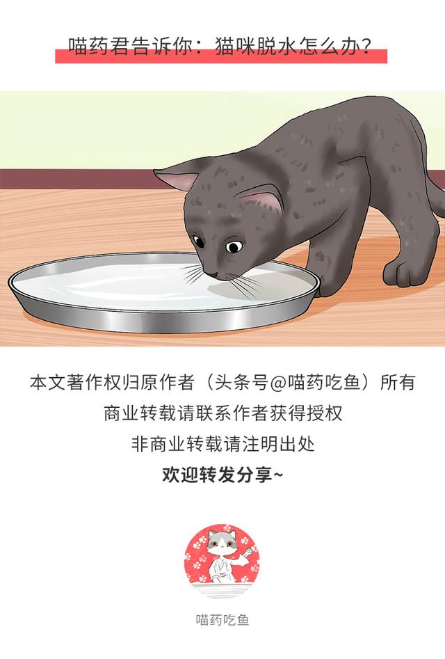 猫严重脱水几天能补回来（铲屎官得知道猫咪脱水的危害及治疗方法！）
