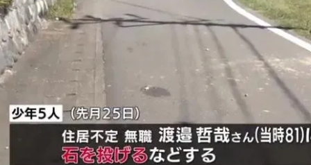 日本5名“虐猫”男子打死喂养猫咪的老人