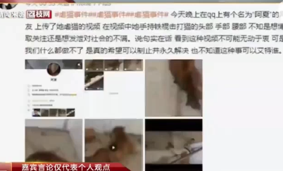 在一些网络平台上，突然出现了大量的虐猫视频