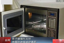 台湾学生虐猫，将室友的猫放进微炉中，开到800瓦