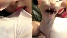 韩国艺人崔雪莉直播亲猫，咬猫。网友质疑其在虐猫