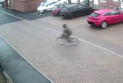 英格兰达勒姆郡一人一狗一起虐猫，用单车压