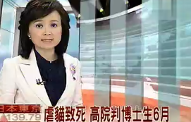 台北博士生虐猫，被判六个月徒刑和罚金36万