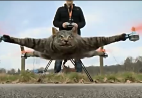 虐杀新花样，荷兰变态者用猫尸做成标本放在无人机上